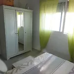 El Pati *